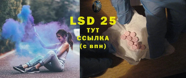 сатива Верея
