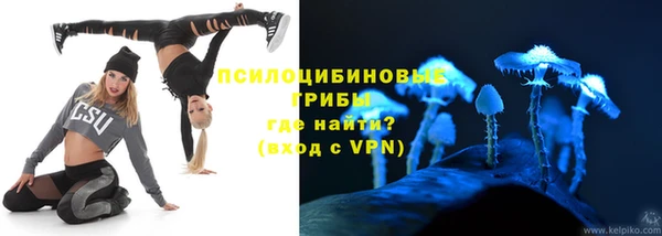 сатива Верея
