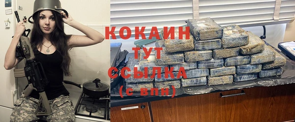 сатива Верея