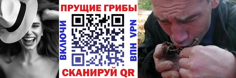 Галлюциногенные грибы ЛСД  Хасавюрт 